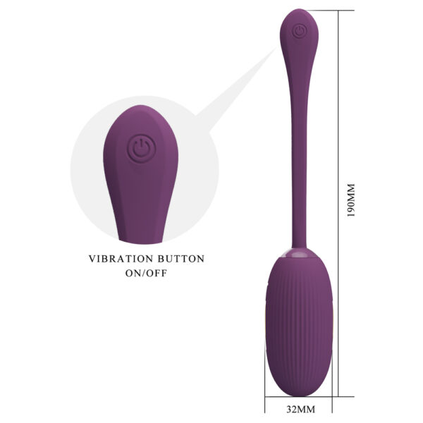APP Long Distance Egg Vibrator