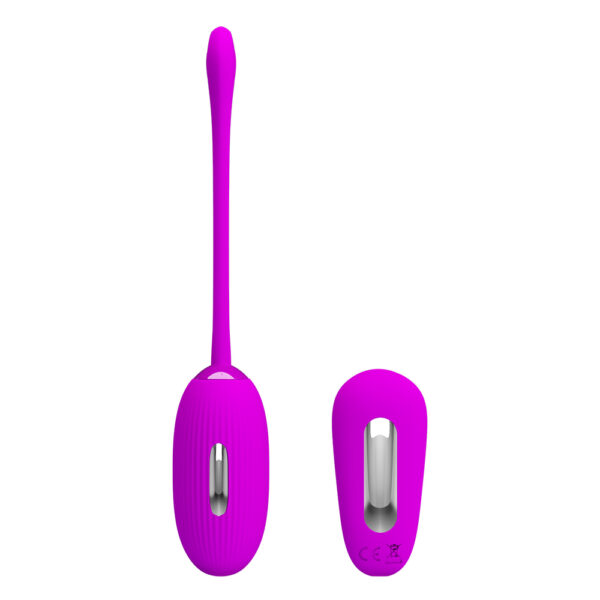 Remote Controlled Egg Vibrator BI-014609W