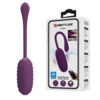 APP Long Distance Egg Vibrator