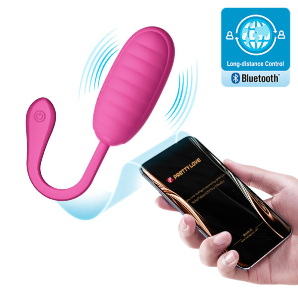 APP Long Distance Egg Vibrator
