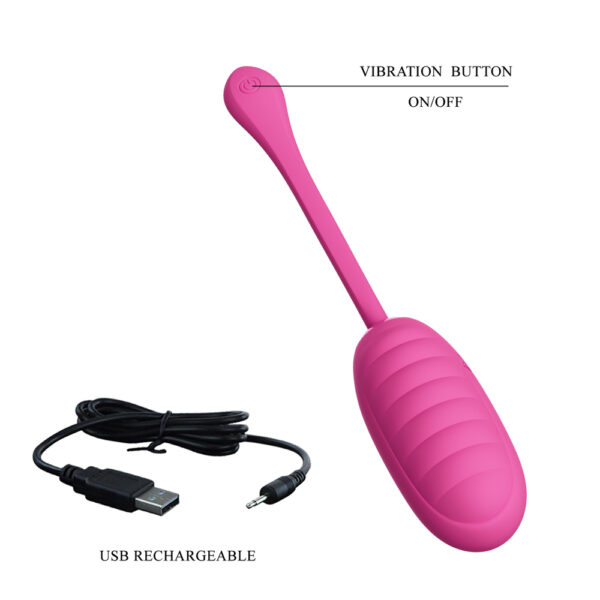 APP Long Distance Egg Vibrator