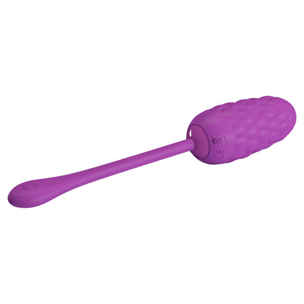 Mulberry Fruit Egg Vibrator BI-014708