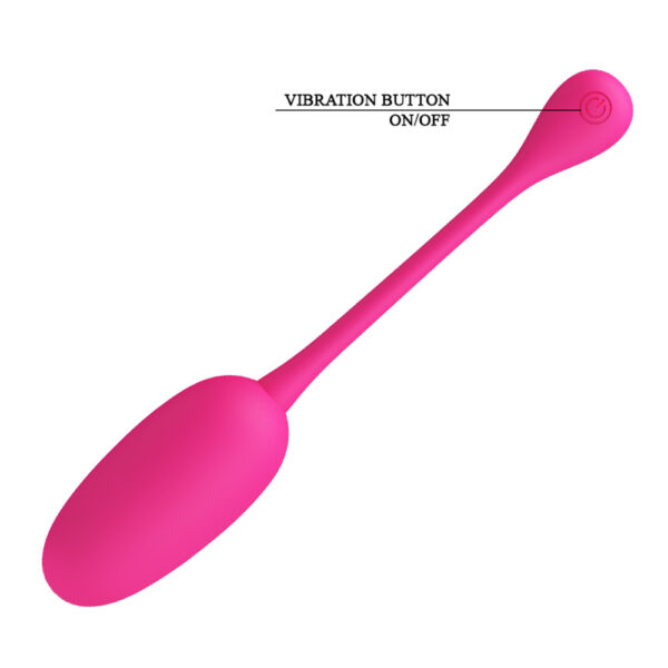 Memory Function Egg Vibrator BI-014786
