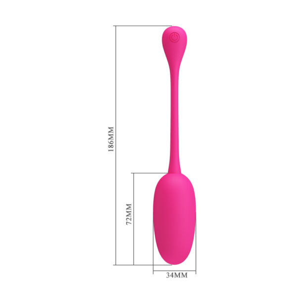 Memory Function Egg Vibrator BI-014786