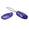 Smooth Egg Vibrator BI-014865WL