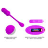 Remote Controlled Egg Vibrator BI-014868W