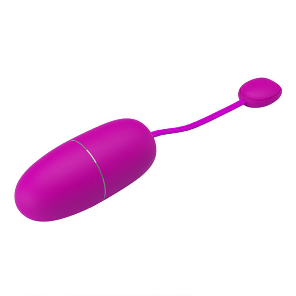 APP Long Distance Egg Vibrator