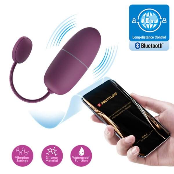 APP Long Distance Egg Vibrator