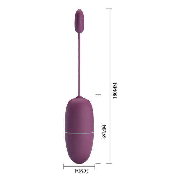 APP Long Distance Egg Vibrator
