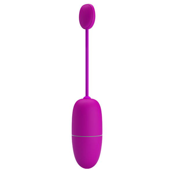 APP Long Distance Egg Vibrator