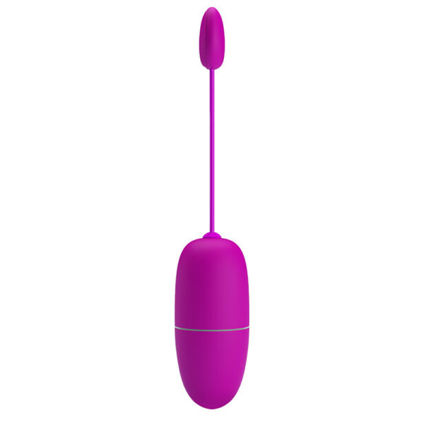 APP Long Distance Egg Vibrator