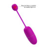 APP Long Distance Egg Vibrator