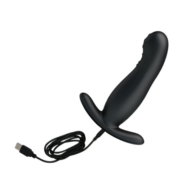 Tickling Prostate Vibrator BI-040053-MR