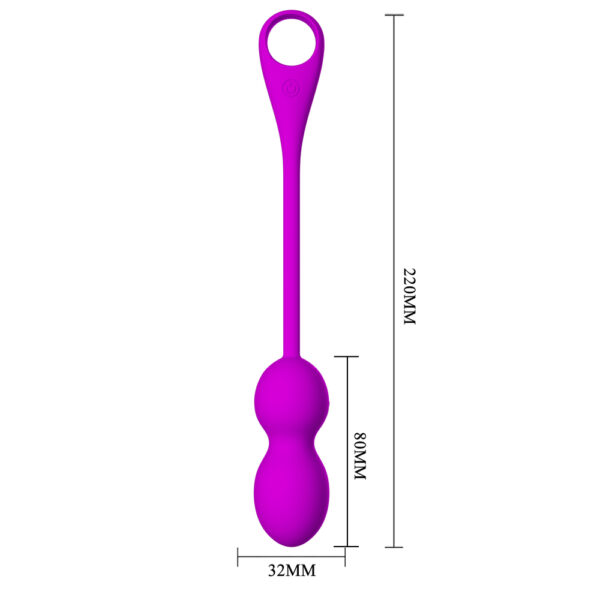 APP Long Distance Egg Vibrator