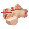 Female Torso Sex Doll BM-009257N
