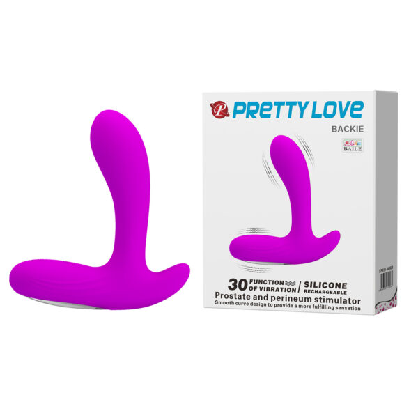 Vibrating Prostate Massager BI-040029