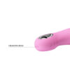 Silicone Rabbit Vibrator BI-014571