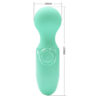 Mini Massager Vibrator