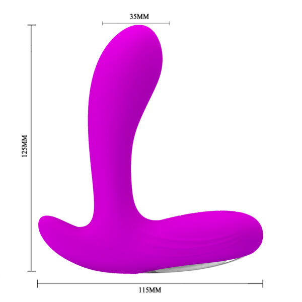 Vibrating Prostate Massager BI-040029