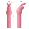 Rabbit G-Spot Vibrator BI-300008