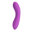 Powerful G-Spot Vibrator BW-500076