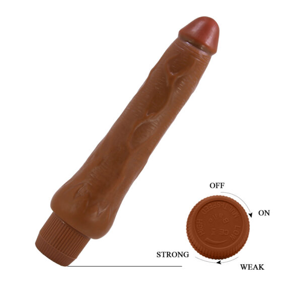 9.8" Vibrating Dildo BW-001072R