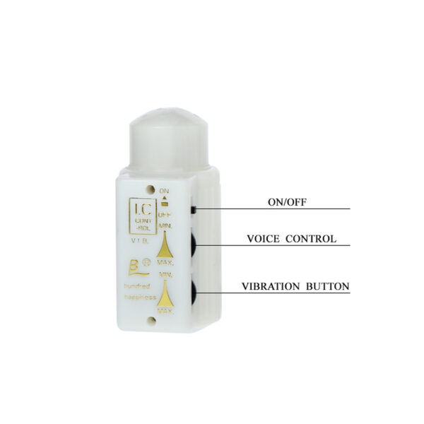 Rotation Dildo Ass Torso BW-008016