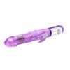 Rotating Rabbit Vibrator BW-037352
